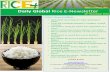 10th november,2014 daily global rice e newsletter by riceplus magazine