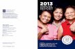 CLINIC 2013 Annual Report - Executive Summary