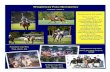 Wrightway Polo Summer Newsletter Issue 3