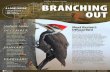 Branching out winter 2014–2015