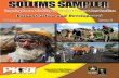 Sollims Sampler Volume 5, Issue 4, Reconstruction and Development