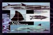 Los secretos del mar jacques cousteau 14 los delfines folio 1993