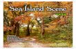 Sea Island Scene 3212 November 2014