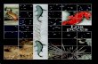 Los secretos del mar jacques cousteau 11 los peces folio 1993