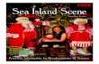Sea Island Scene 3213 December 2014