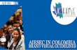 Brand Visual Guidelines AIESEC en Colombia