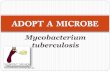 Adopt A Microbe