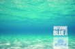 Informe Blue Ecomar 2014