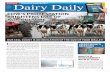 Dairy Daily - International edition