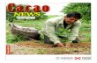 Revista cacao news ucayali
