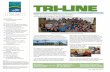 TriLine Newsletter - Fall 2008 - English