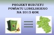 Projekt budżetu powiatu lubelskiego 2015