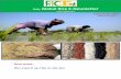 23rd january,2015 daily global rice e newsletter by riceplus magazine