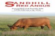 2015 Sandhill Red Angus Bull and Female Sale