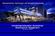 2013 Swanson School of Engineering Undergraduate Summer Research Program