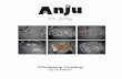 Anju 2015 catalog