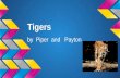 Tigers by Piper and Payton
