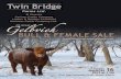 Twin Bridge Farms & Guests Gelbvieh Bull & Female Sale 2015