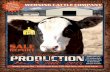 Sale Report Werning Cattle 2015