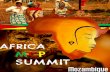 Mozambique BID MCP Summit