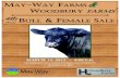 MayWay Farms and Woodbury Farms - 4th Annual Bull Sale