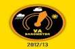 VA Barometer 2012/13 English