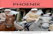 The American Sidesaddle Association Phoenix Spring 2015