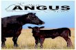 Kansas Angus Association - March/April 2015