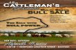 15th Annual Cattleman's Classic Multi Breed Bull Sale