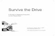 Survive the Drive: A Guide to Keeping Everyone on the Road Alive