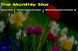 The Monthly Star // Official Newsletter of Division 38 // March Edition
