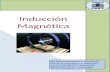 Induccion Magnetica.