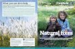 Cumbria Wildlife Trust Natural Fixes