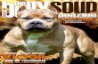 The Bullysoup Issue 40