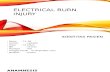 Electrical Burn Injury (Draft)