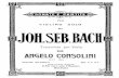 Bach Sonate e Partite for Viola