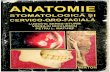 Anatomie Stomatologica Cervico Oro Faciala