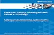 Petrotechnics White Paper - Process Safety Management Whats Missing