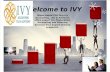 Miami CPA offering Tax Preparation, Accounting and Planning from Top Chinese preparers | Ivy Accounting ,   Tax & Advisors