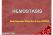 08 Hemostasis