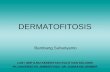 Gambaran Klinis Dermatofitosis (Penyakit jamur pada kulit)