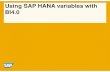 1301 - BusinessObjects with HANA - Variables.pdf