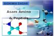 As.amino Dan Peptida