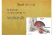 Gout Artritis