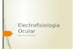 Electrofisiologia Ocular ERG