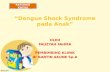 Dengue Shock Syndrome