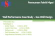 Well Performance Case Study – Gas Well Design
