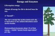 Energetics and Enzymes.ppt