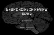 Cindy Montana's Neuro Exam 2 Review