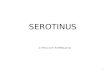 Serotinus 123